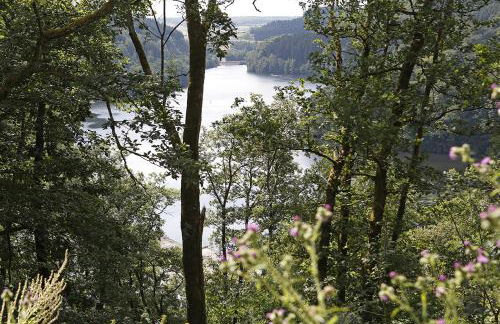 Landhaus Wald und See - Foto 14