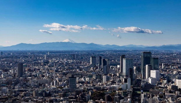 Vistas de Tokio desde la Torre Mori