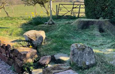Heron Lodge, edge of Mabie Forest Dumfries - Photo 48