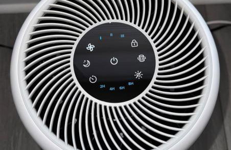 Hannahs Haven - Photo 16