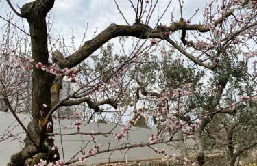 Villa Mima - Foto 30