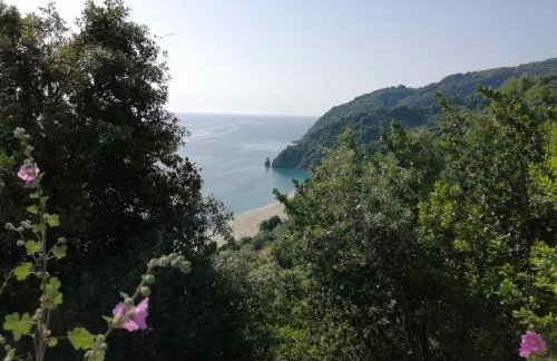 Guest House Pafili - Foto 45