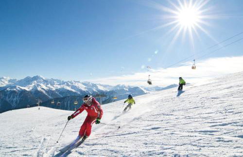 Garni Appartements Almrausch - Foto 69