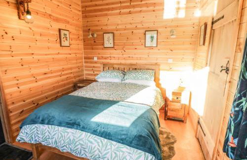 Kingfisher - Foto 11