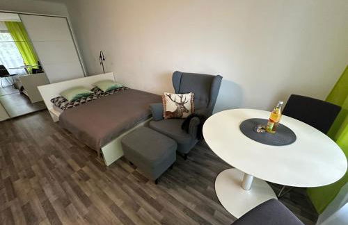 Gaishöll-Wasserfälle Apartment Schwarzwald - Foto 44