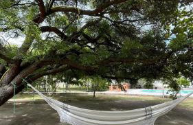 Chácara Soares Melo - Foto 66