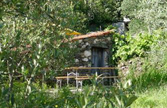 Casa Escola Velha - Foto 17