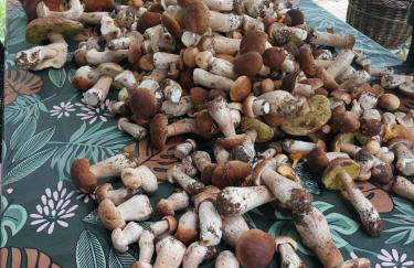 Dom Nad Jeziorem Trzy Tonie - Foto 40