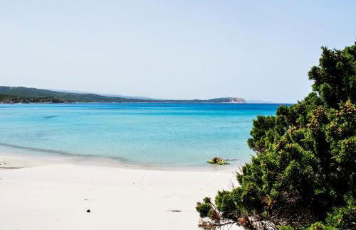 Residence Rena Majore - Foto 30