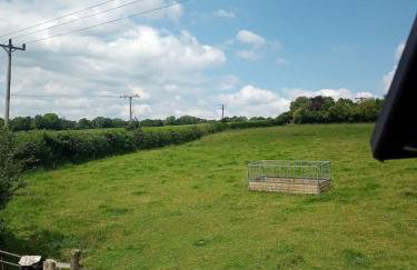 Trelowen Cottage - Photo 9