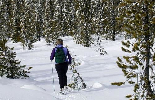 Apartment Annas Haus im Dolomiten-Nationalpark by Interhome - Foto 14