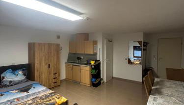 Zentrale Wohnung nähe Breisach am Rhein - Foto 3