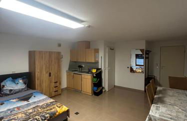 Zentrale Wohnung nähe Breisach am Rhein - Foto 3