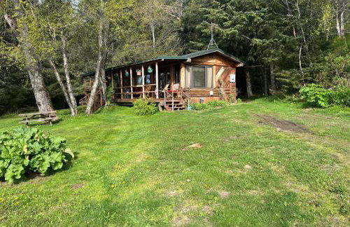 Moose twin cabin - Foto 7