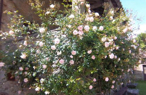 Comfy home in San Godenzo with Lake nearby - Foto 12