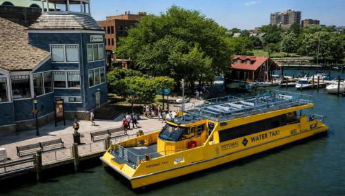 The Manor - Alexandria - Foto 3