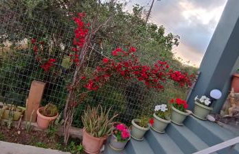 Marilidia House - Foto 30