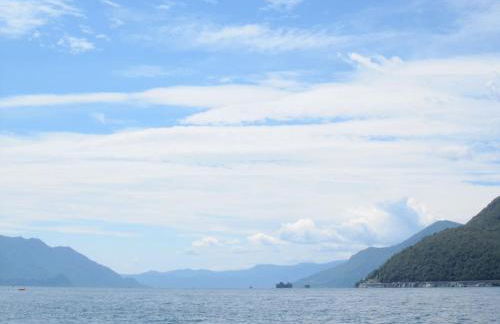 La Camelia d'Oro - Foto 23