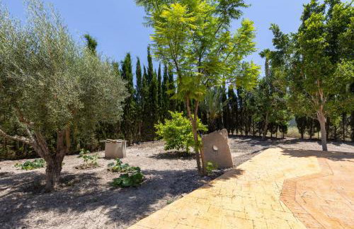 Blue Haven by Fidalsa - Foto 12