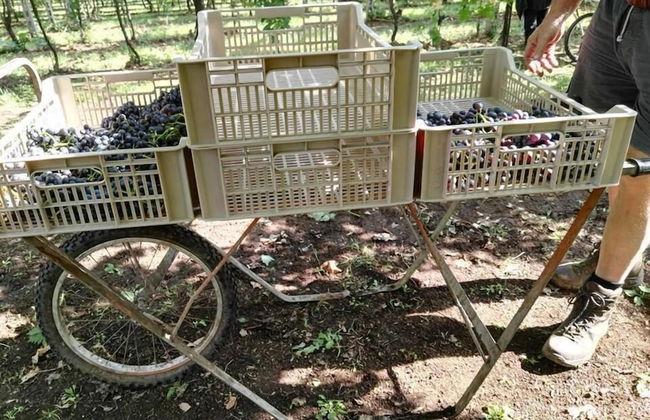 Agriturismo El Crear - Photo 35