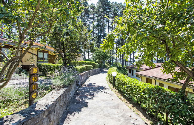 Cancelli trilo 4 persone - Foto 17