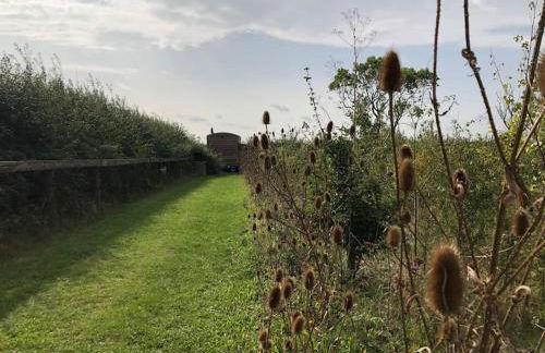 Private Shepherds hut with Castle view - Foto 27