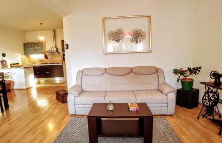 Spacious garden house, Orebić (4+1) - Photo 12