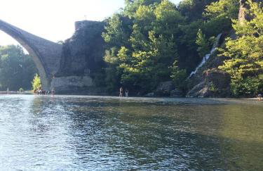 Konitsa Primula - Photo 20