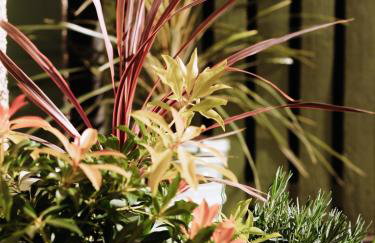 9 Park Place, Elie - Foto 45