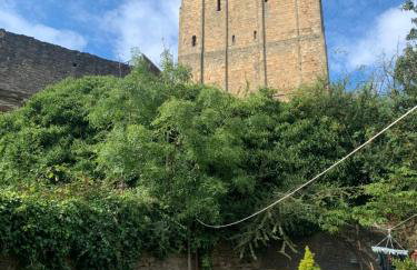 Tower Street Cottage - Foto 15