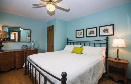 Green Parrot - Foto 16