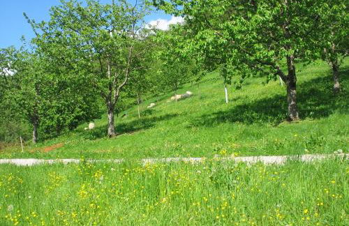 Ferienhof Fischer - Foto 50