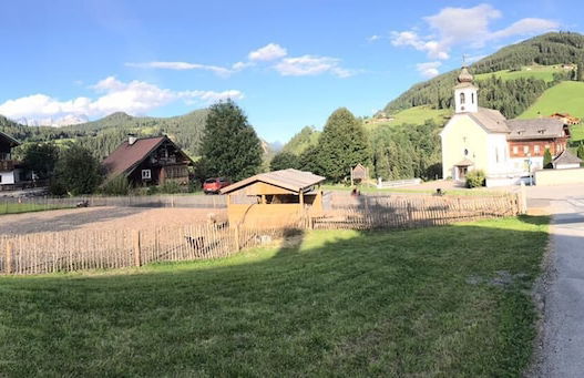 Gut Vögeihof - Foto 27