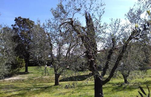 Agriturismo Le Chiare Stelle - Foto 43