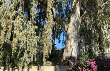 CANNES: Appartement Cosy à 2 pas de la Croisette - Foto 9