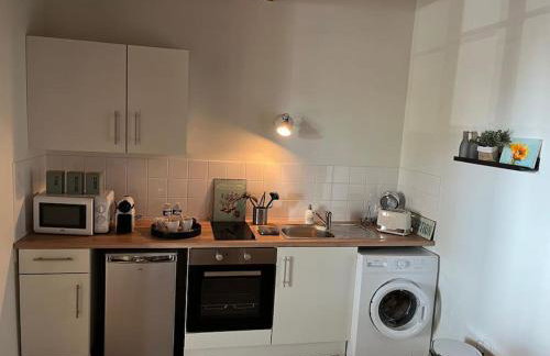 La Maison aux volets bleus 37 m3, Bords de Saône - Foto 14