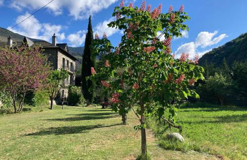 El Cau de Cal Quimet - Foto 6