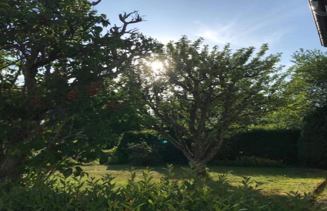 Spacious Holiday Home in Ulmen Near the Centre - Foto 36