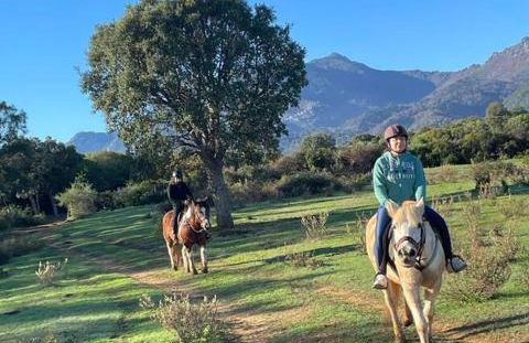 Villa avec terrasse et vue piscine, proche plage - Foto 24
