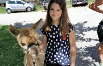 Alpaca-Village - Foto 37