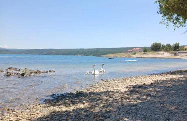 Apartmani Tanja Pridraga - Photo 9