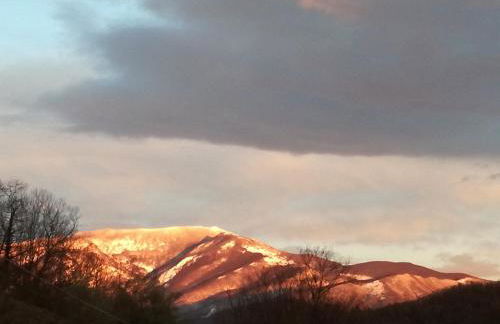 Fraseneggi - Foto 45