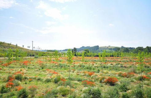 Awesome Home In Montefoscoli With Wifi - Foto 6