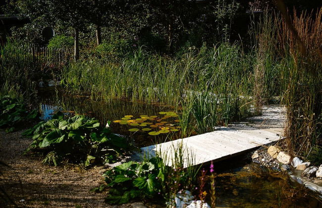 Holiday Home Altes Zollhaus No. 19 - Foto 18