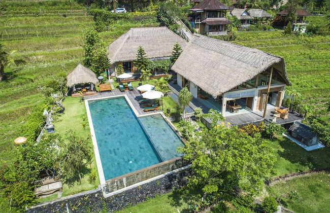 Villa Kropak - Foto 50