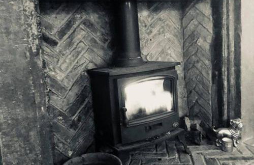 The Dotterry - Foto 21