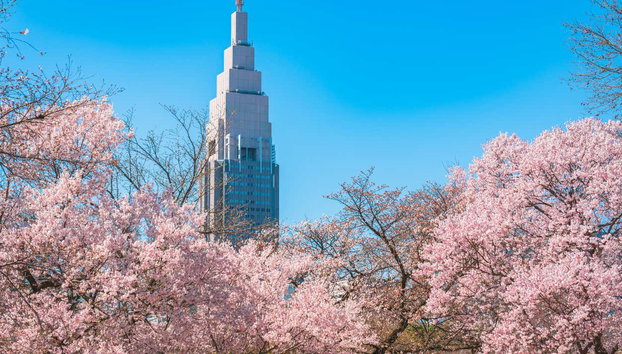 Tokyo Private Walking Tour - Photo 3