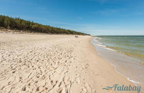 Domki Falabay - Foto 55