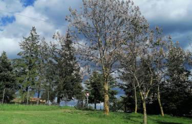 Mas Cal Sastre - Foto 44