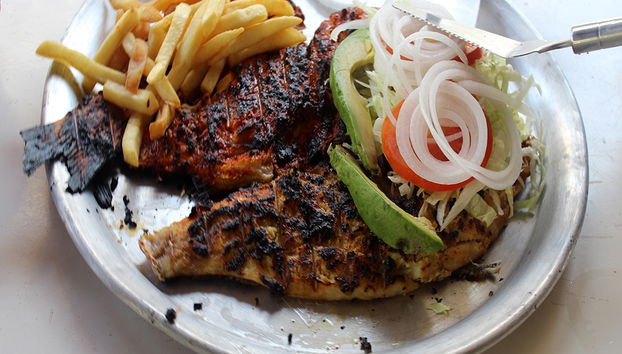 Ecological Tour - Photo 3